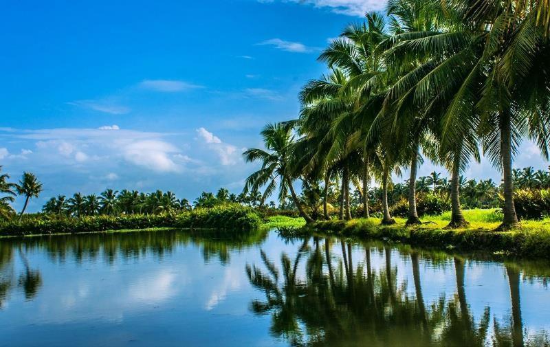 Golden Beach Home Stay Alappuzha Luaran gambar