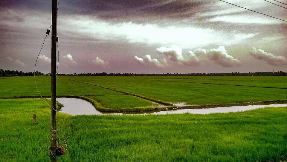 Golden Beach Home Stay Alappuzha Luaran gambar